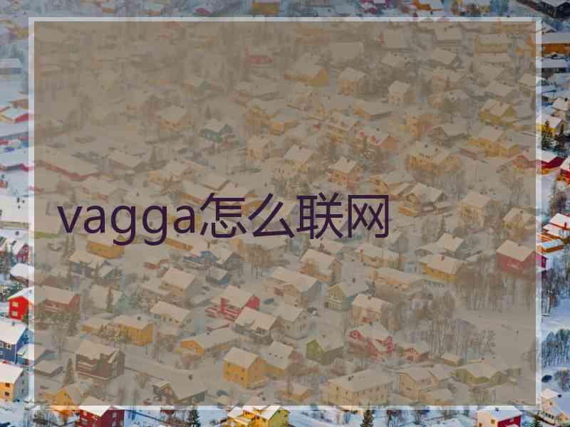 vagga怎么联网