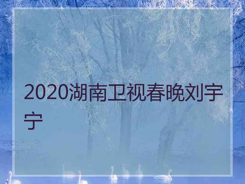 2020湖南卫视春晚刘宇宁