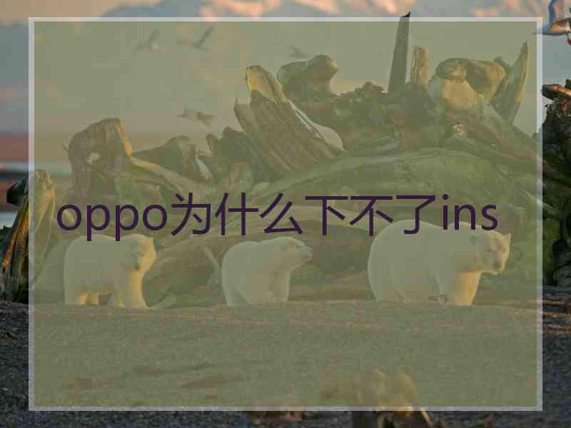 oppo为什么下不了ins