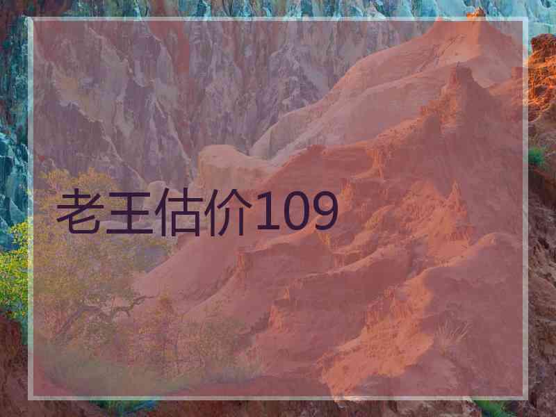 老王估价109