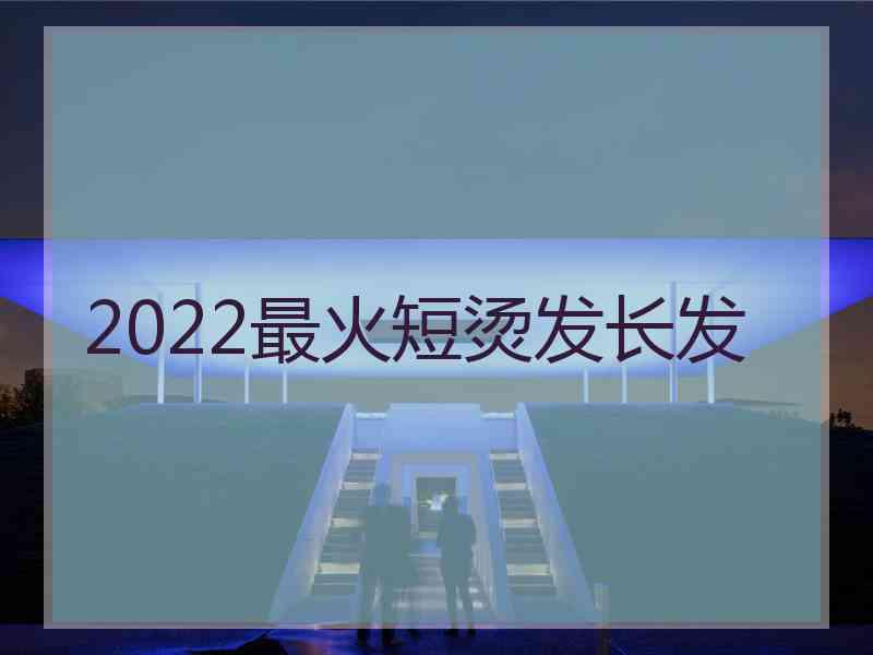 2022最火短烫发长发