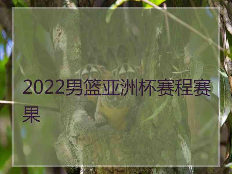 2022男篮亚洲杯赛程赛果