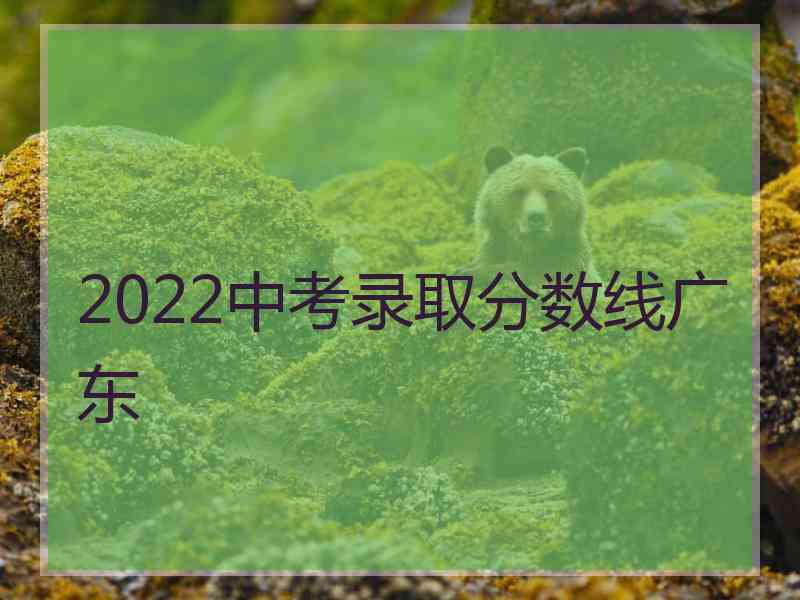 2022中考录取分数线广东