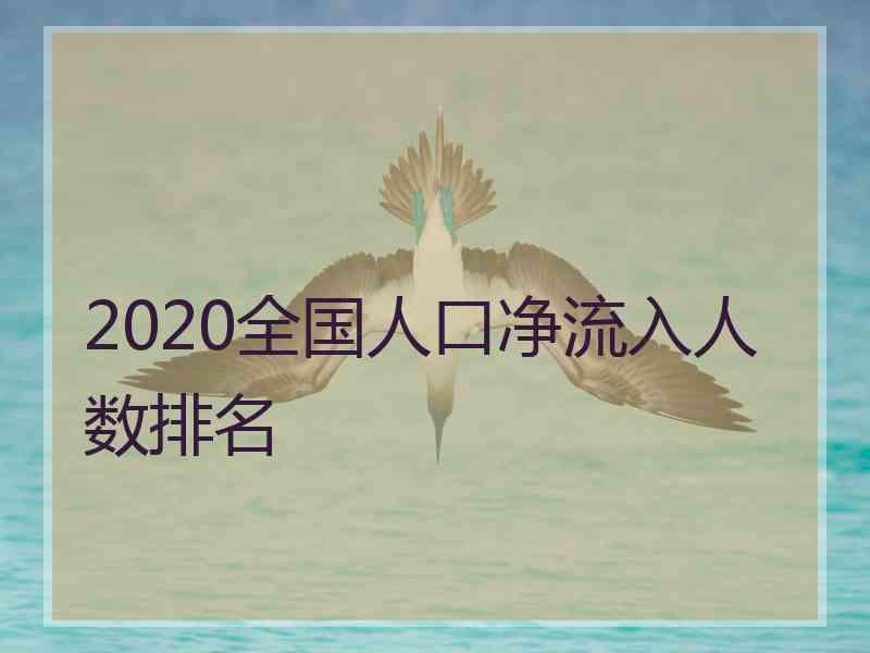 2020全国人口净流入人数排名