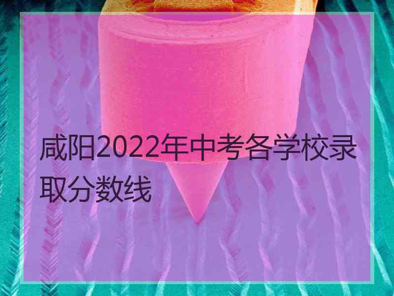 咸阳2022年中考各学校录取分数线