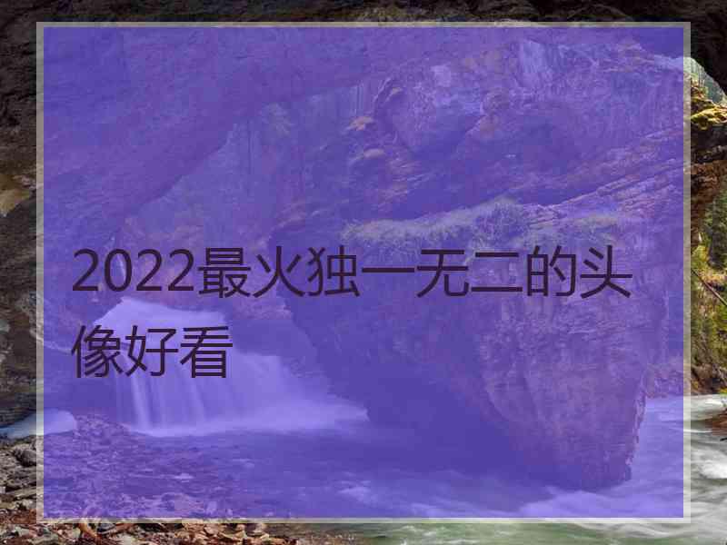 2022最火独一无二的头像好看