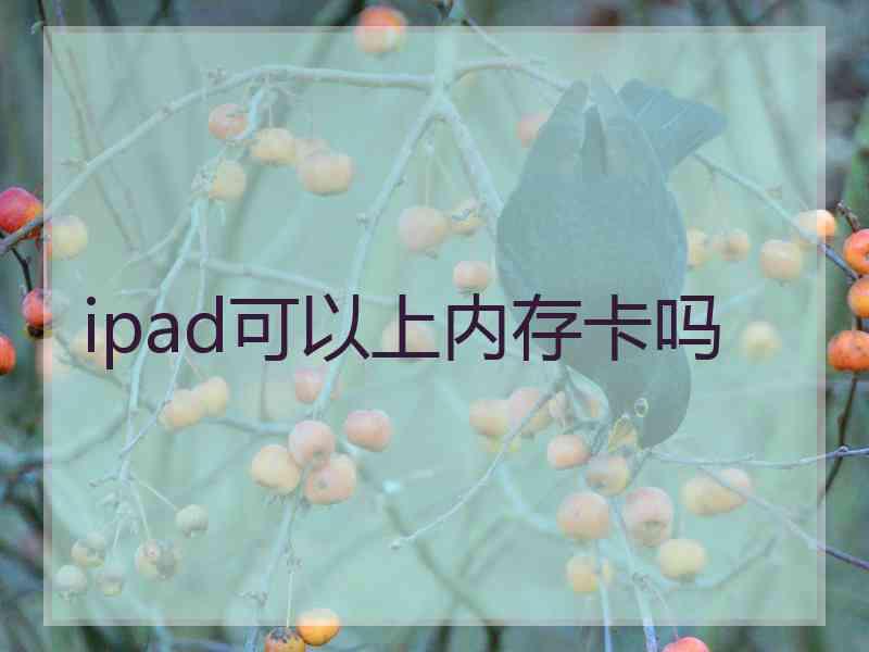 ipad可以上内存卡吗