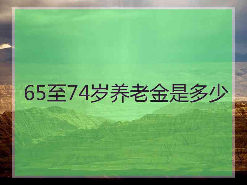 65至74岁养老金是多少