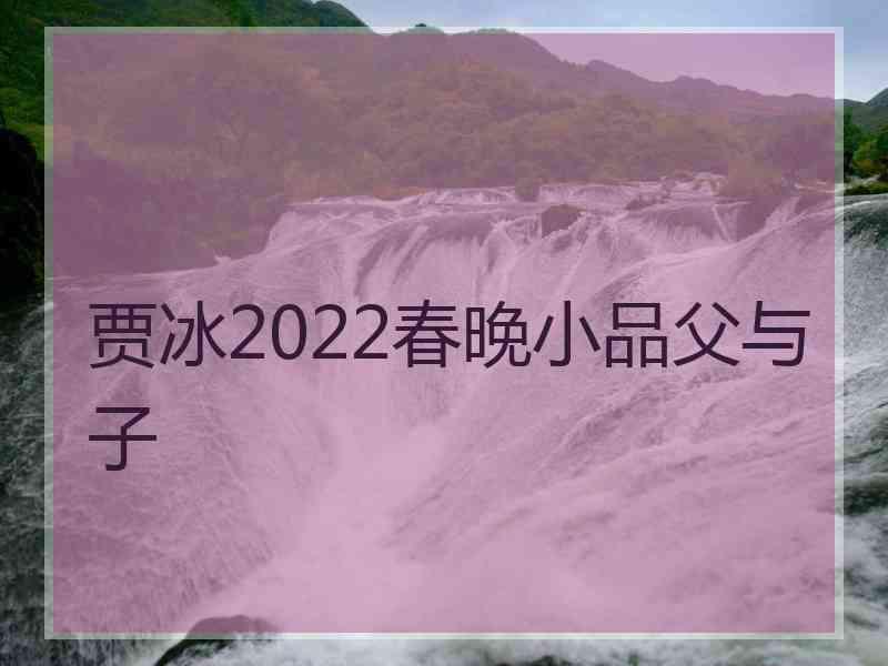 贾冰2022春晚小品父与子