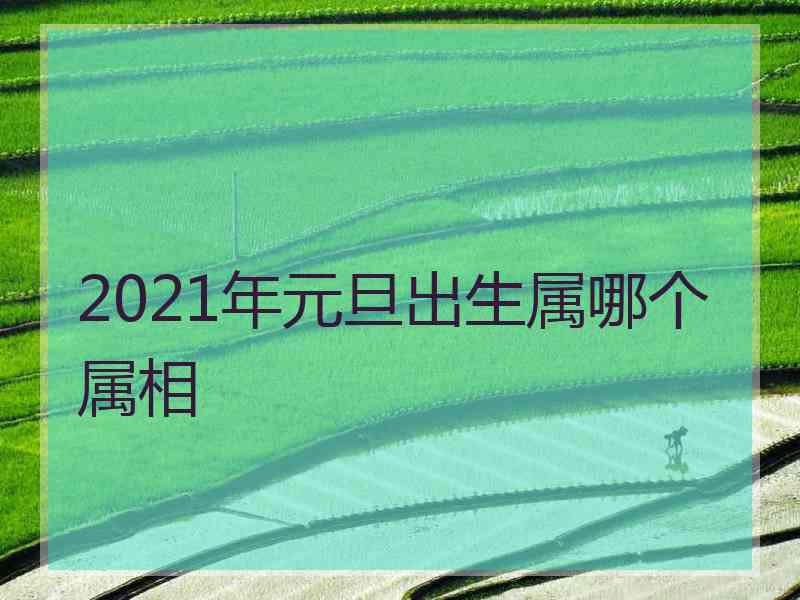 2021年元旦出生属哪个属相