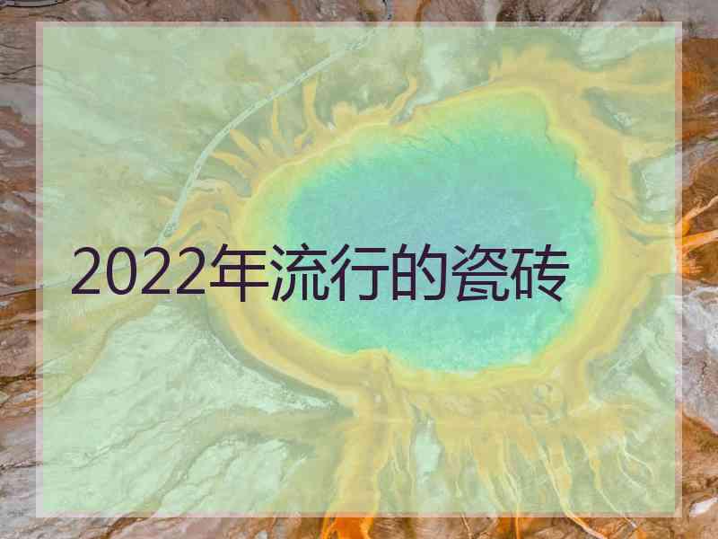 2022年流行的瓷砖