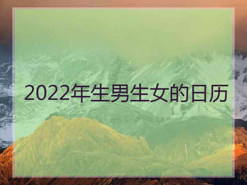 2022年生男生女的日历