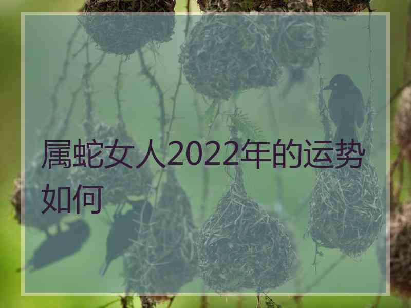 属蛇女人2022年的运势如何