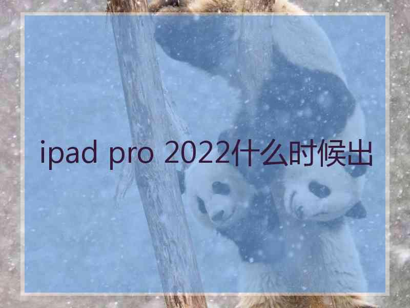 ipad pro 2022什么时候出