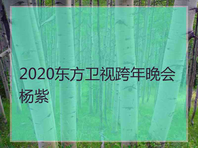 2020东方卫视跨年晚会杨紫