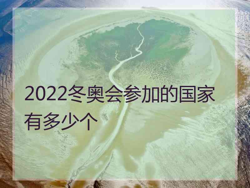 2022冬奥会参加的国家有多少个