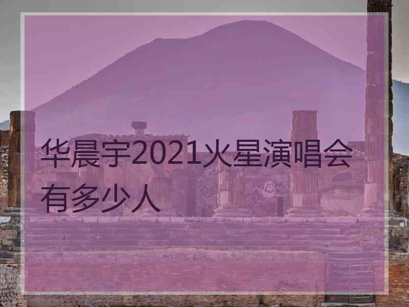 华晨宇2021火星演唱会有多少人