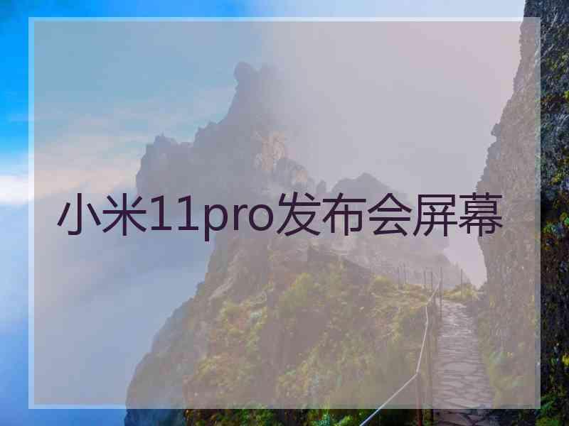 小米11pro发布会屏幕