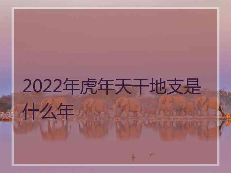 2022年虎年天干地支是什么年