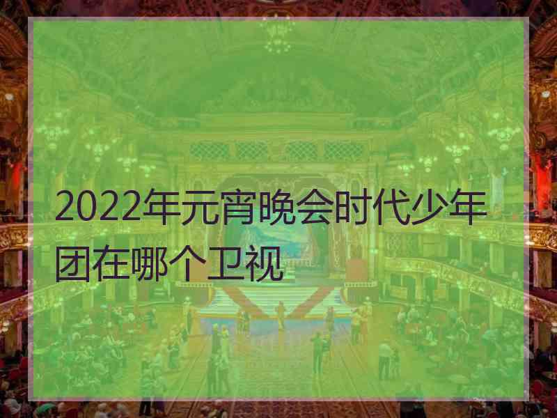 2022年元宵晚会时代少年团在哪个卫视