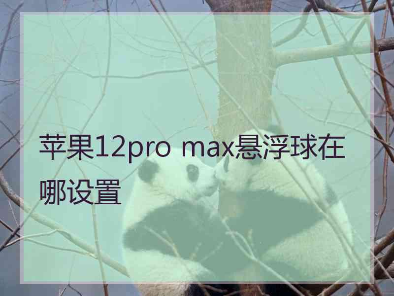 苹果12pro max悬浮球在哪设置