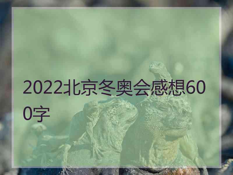 2022北京冬奥会感想600字