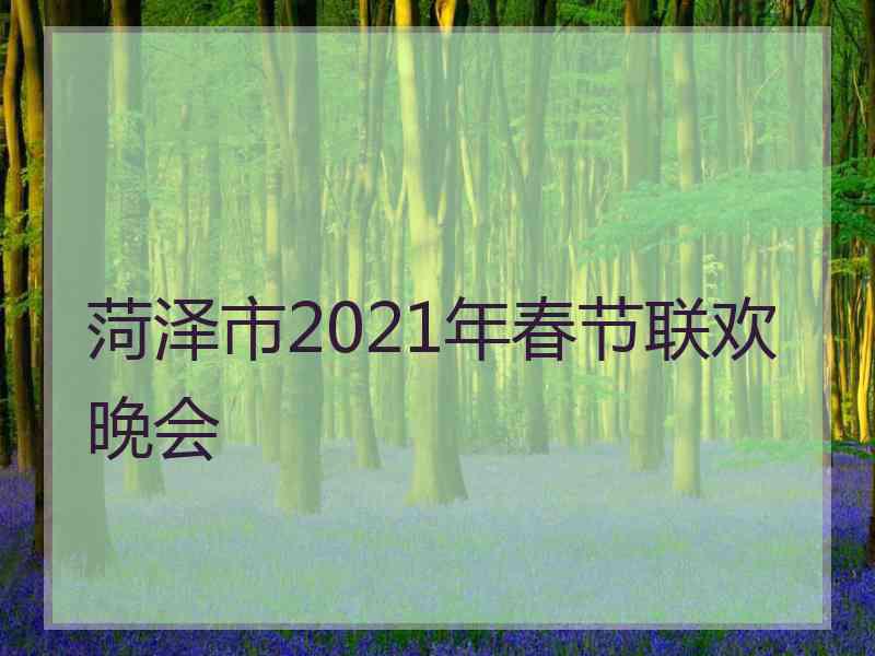 菏泽市2021年春节联欢晚会