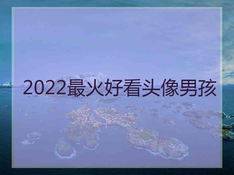 2022最火好看头像男孩