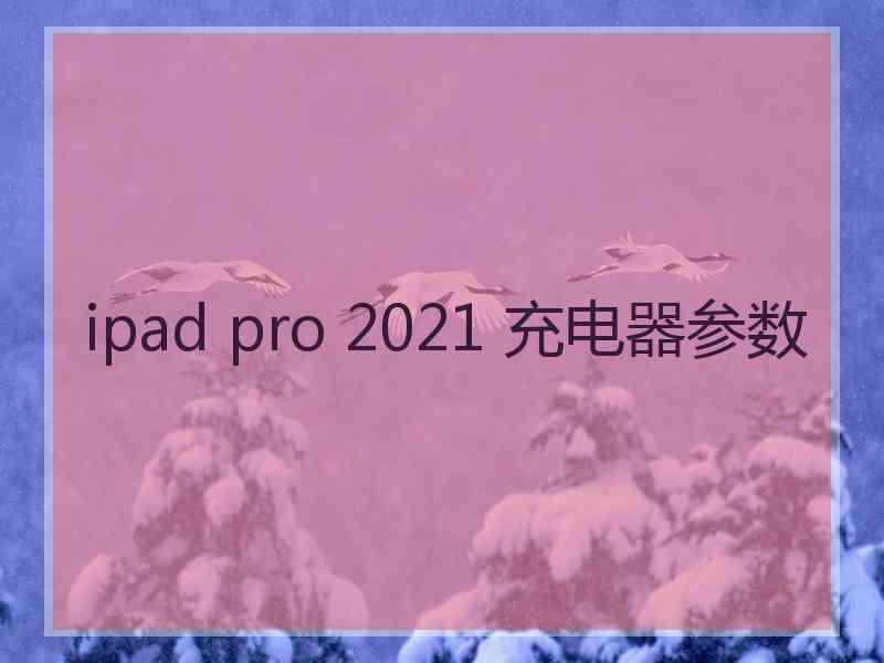 ipad pro 2021 充电器参数