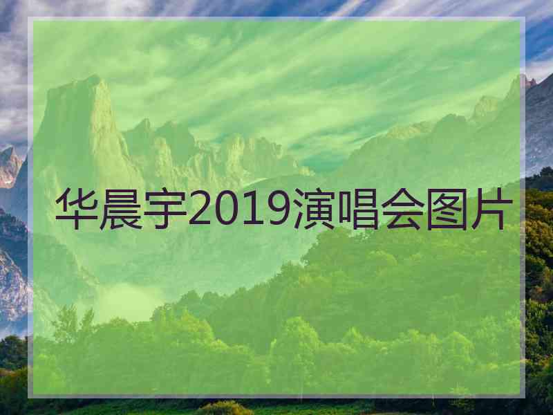 华晨宇2019演唱会图片