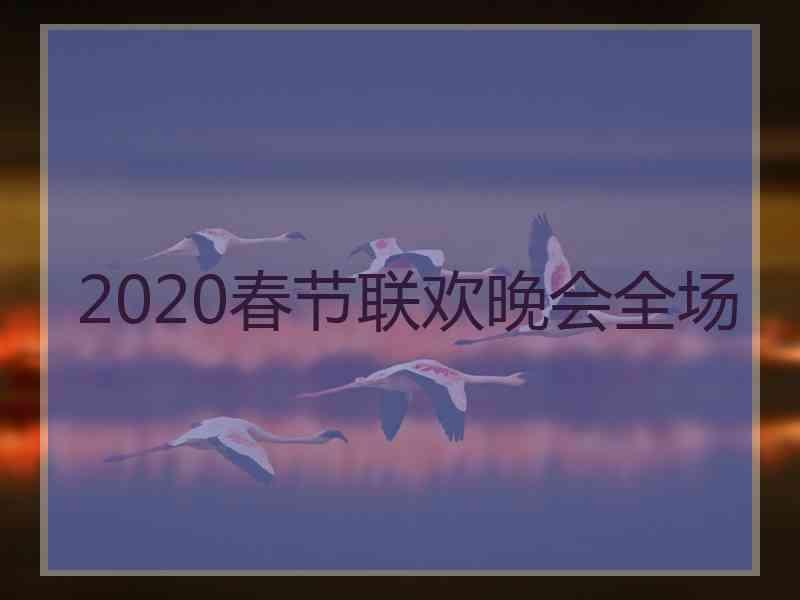 2020春节联欢晚会全场