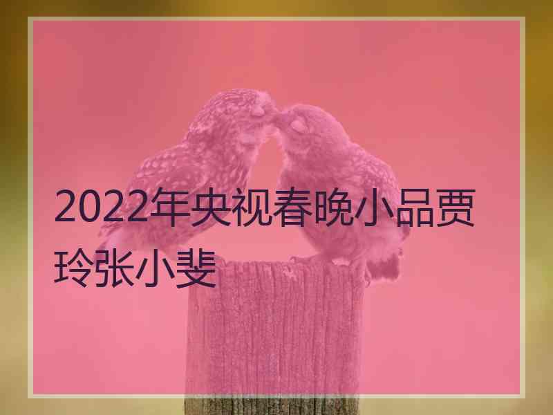 2022年央视春晚小品贾玲张小斐