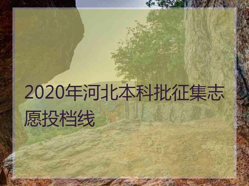 2020年河北本科批征集志愿投档线