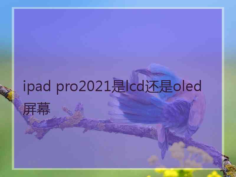 ipad pro2021是lcd还是oled 屏幕