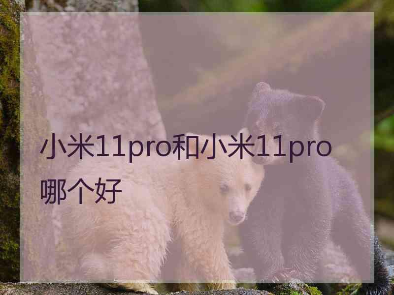 小米11pro和小米11pro哪个好