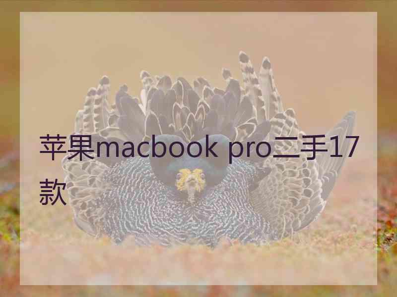 苹果macbook pro二手17款