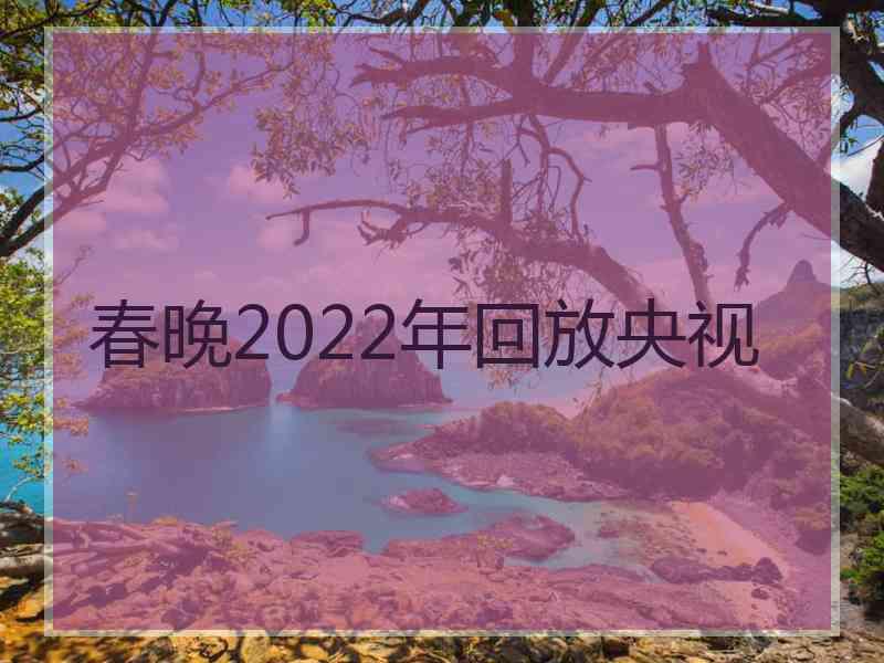 春晚2022年回放央视