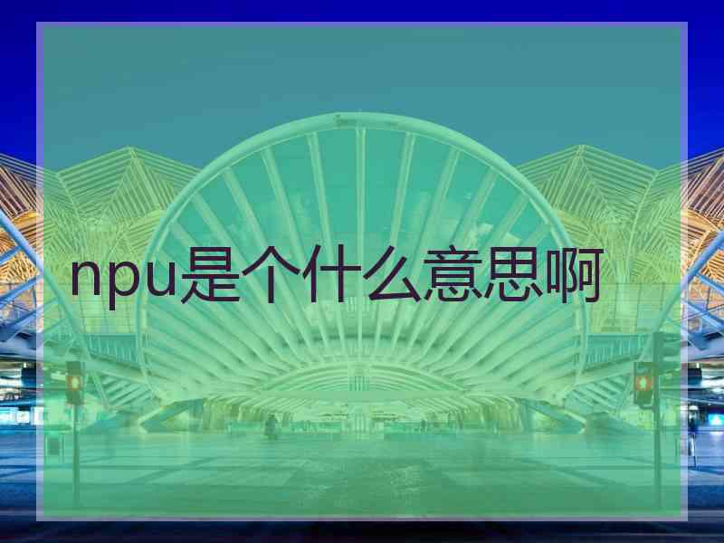 npu是个什么意思啊