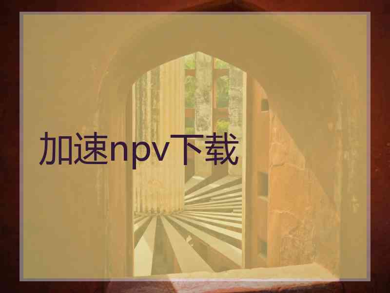 加速npv下载