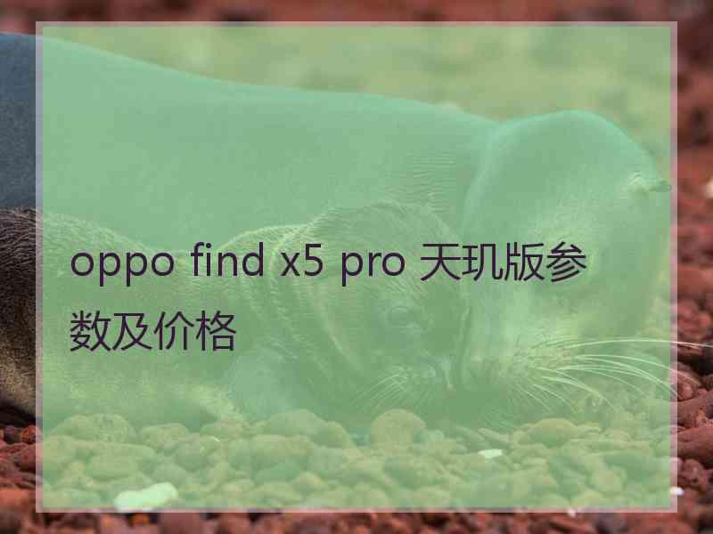 oppo find x5 pro 天玑版参数及价格