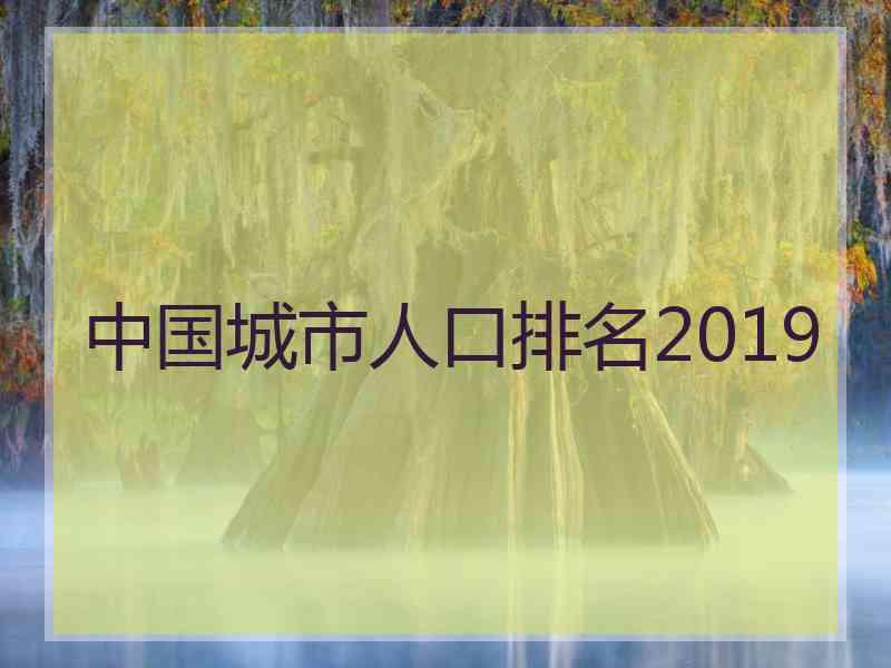 中国城市人口排名2019