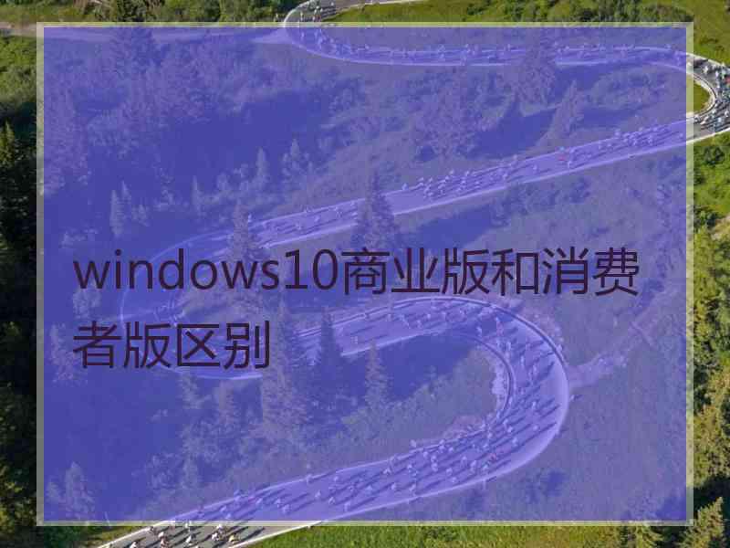 windows10商业版和消费者版区别