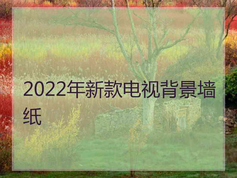 2022年新款电视背景墙纸