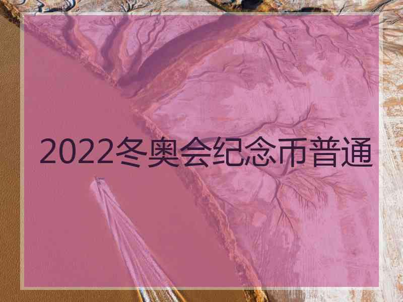 2022冬奥会纪念币普通