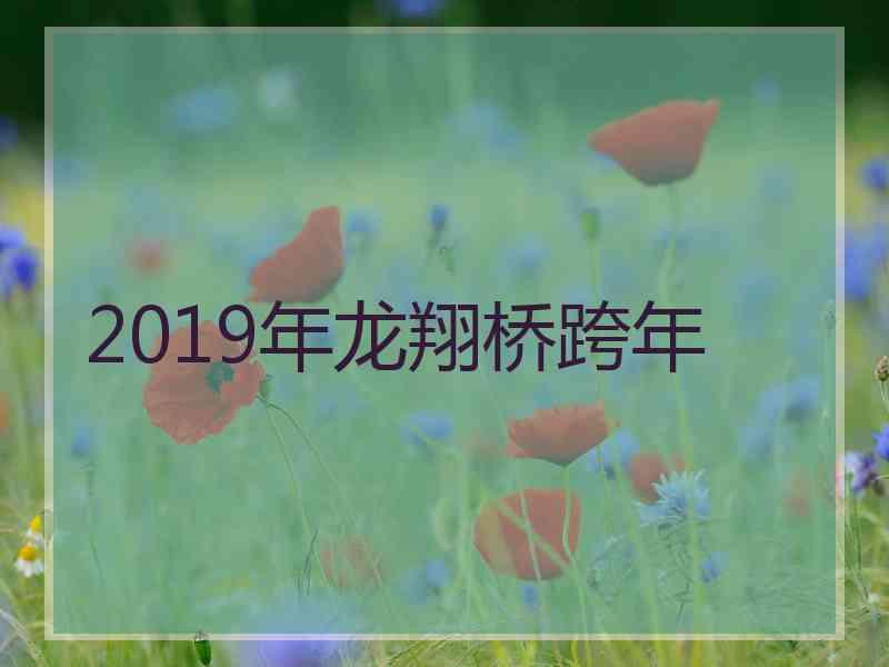 2019年龙翔桥跨年