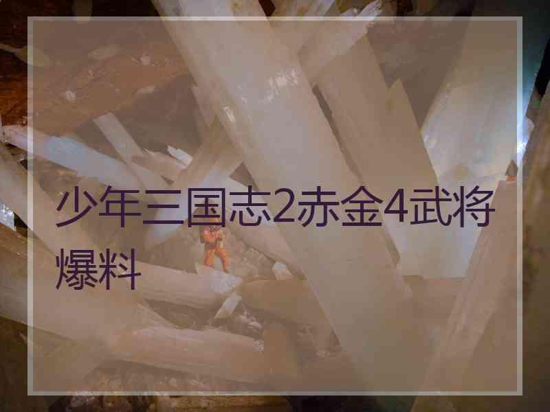 少年三国志2赤金4武将爆料