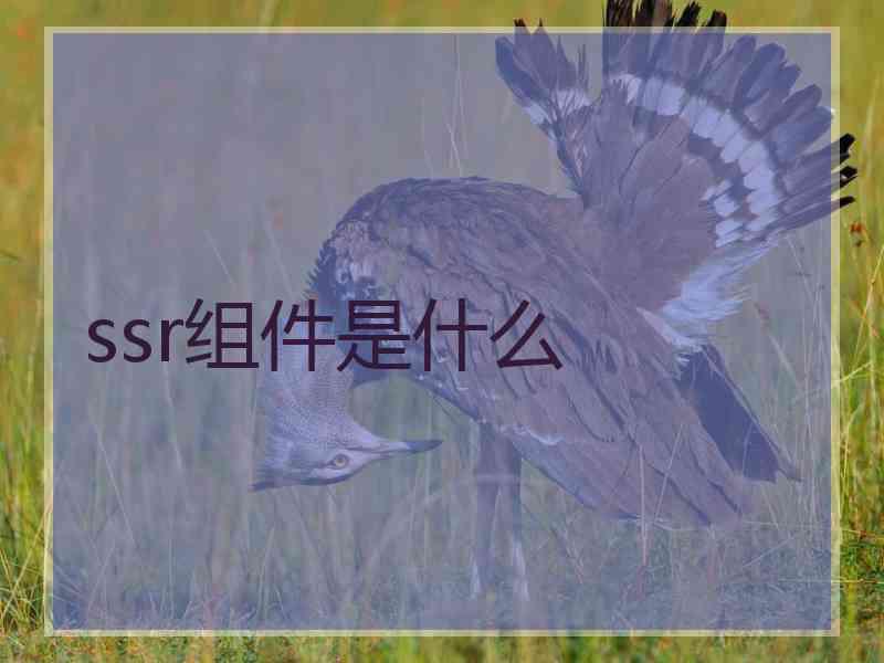 ssr组件是什么