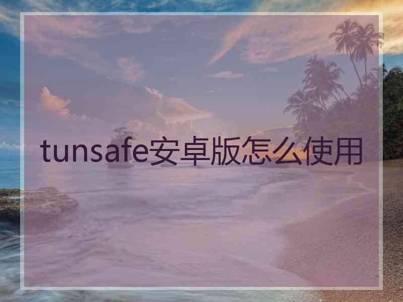 tunsafe安卓版怎么使用