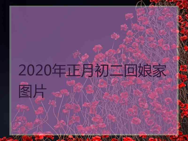 2020年正月初二回娘家图片