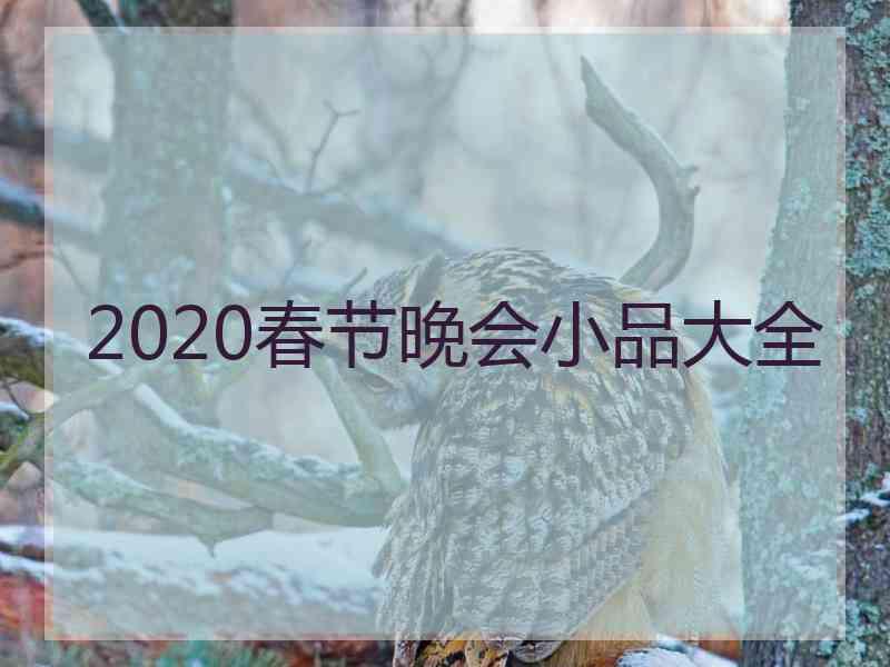 2020春节晚会小品大全